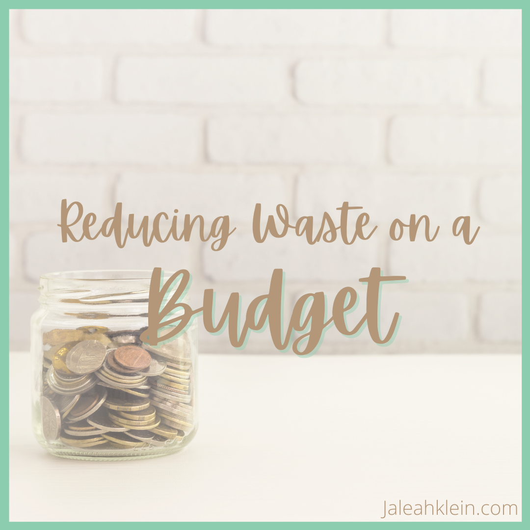 reducingOnABudget